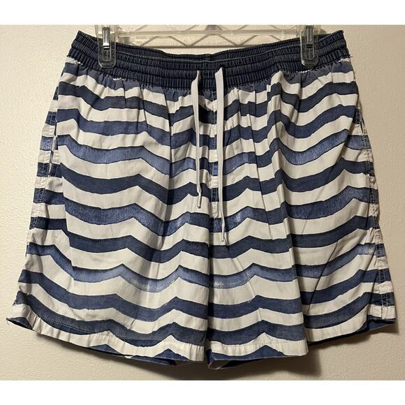 Chubbies Swim Trunks Mens Large Blue White Striped Lined Shorts Bathing Suit - Picture 1 of 12